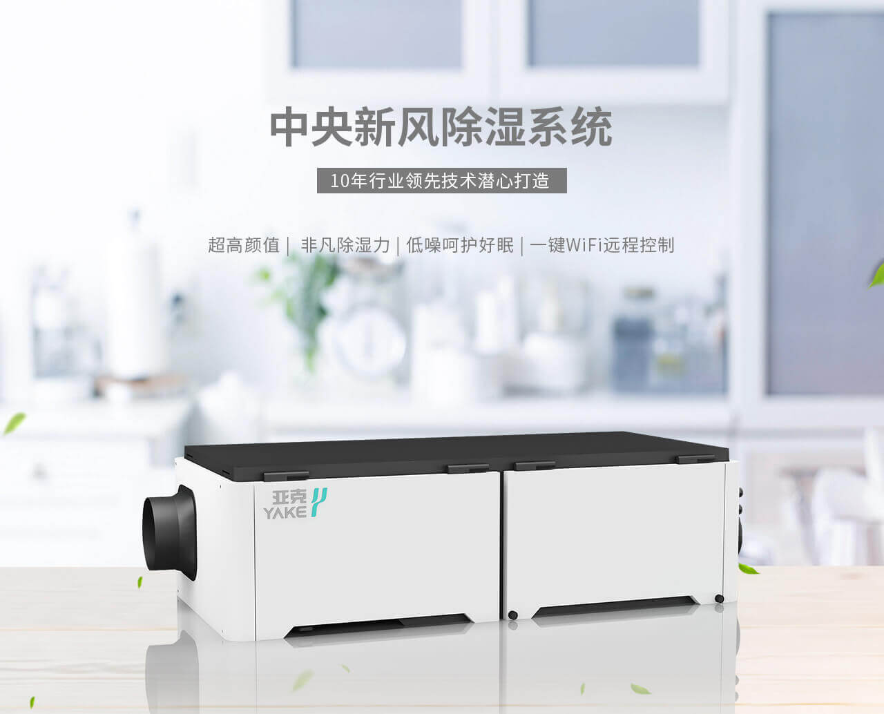 亚克空调除湿设备产品详情介绍